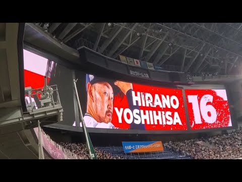 20240330　ﾜｰﾆﾝ♪　平野佳寿 登板時の登場曲【｢中盤戦｣／KREVA】　9回表　ｵﾘｯｸｽ･ﾊﾞﾌｧﾛｰｽﾞ@京ｾﾗﾄﾞｰﾑ大阪･ﾚﾌﾄ外野下段