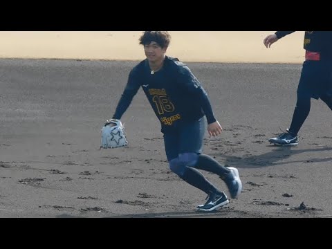 【伊原サード!?】1/22 阪神新人合同自主トレ 新人選手による内野ノック 投手も参加