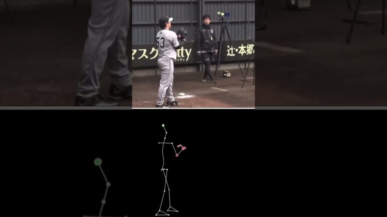 高梨雄平ピッチングフォーム動作解析(読売ジャイアンツ)#高梨雄平#サイドスロー#投球フォーム#動作解析