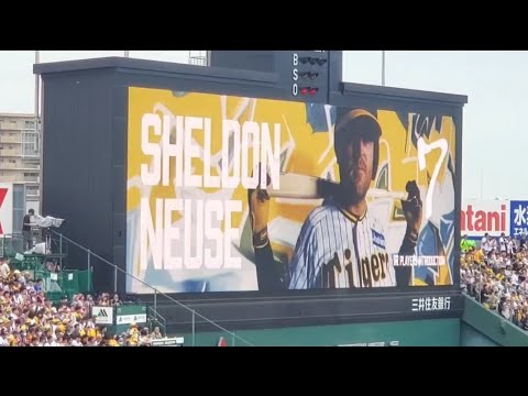 20240622　退団…ノイジー 登場曲【｢Where Did You Go?｣／MNEK , Jack Jones】　1回ｳﾗ　阪神ﾀｲｶﾞｰｽ　ｼｪﾙﾄﾞﾝ･ﾉｲｼﾞｰ@阪神甲子園球場･ﾚﾌﾄ外野