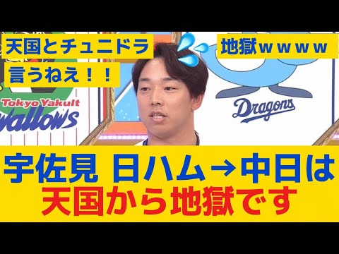 【悲報】宇佐見「日ハム→中日は天国から地獄です。