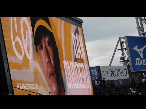 2024 新演出 阪神 小野寺暖 登場曲