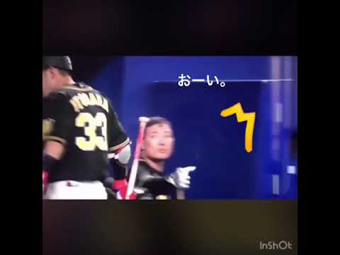 【衝撃的　笑】「おーいっ‼俺は!?」阪神タイガース　福留孝介
