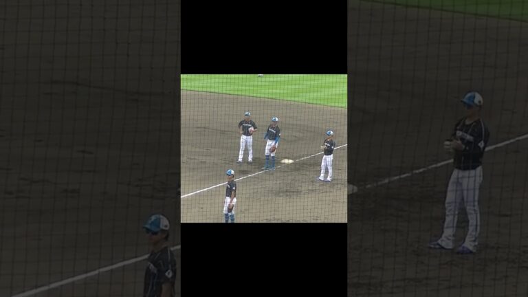 シートノック ファースト守る古川裕大 阪口 樂〜2024年9月4日 日本ハムファイターズ対ヤクルトスワローズ