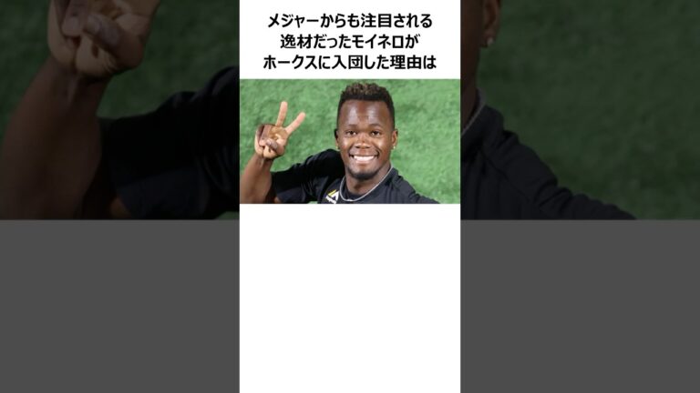 【ソフトバンクホークスに忠誠を誓う男】リバン・モイネロに関する雑学