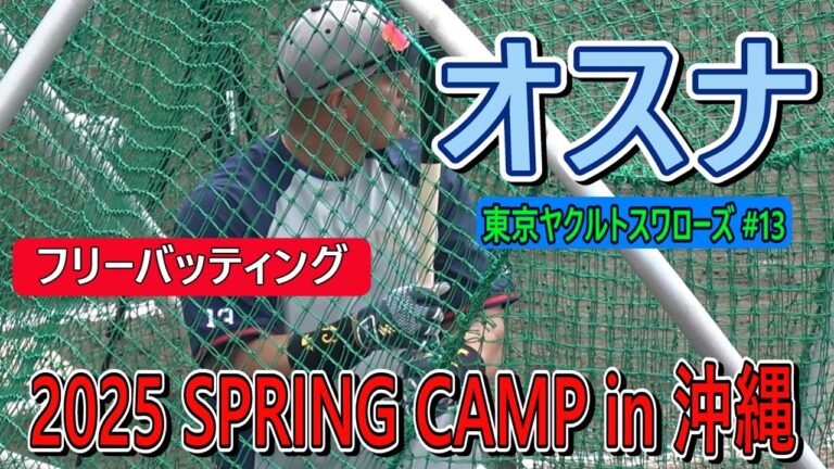 【2025春季キャンプ】オスナ・・・フリーバッティング！【東京ヤクルトスワローズ】