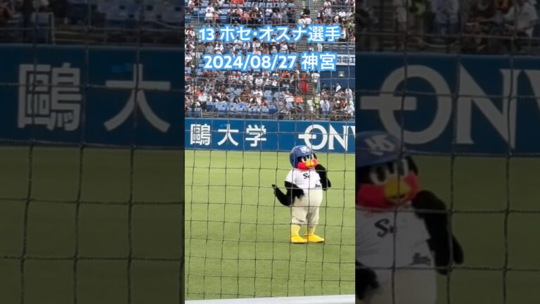 つば九郎が踊る選手応援歌🐧13ホセ・オスナ選手 2024/08/27