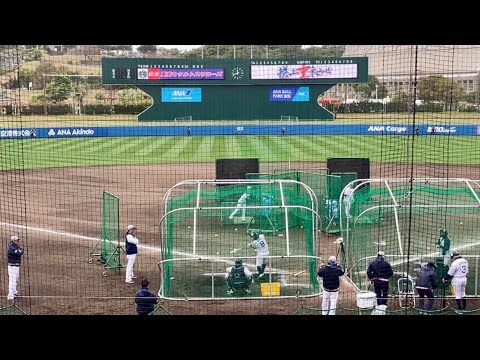 ヤクルトに移籍した茂木栄五郎のバッティング練習 (沖縄キャンプ)