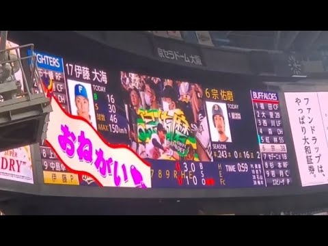 20240707　宗佑磨 通常･偶数打席の登場曲【｢It's Time｣／Steve Aoki】　4回ｳﾗ第2打席　ｵﾘｯｸｽ･ﾊﾞﾌｧﾛｰｽﾞ@京ｾﾗﾄﾞｰﾑ大阪･ﾚﾌﾄ外野下段