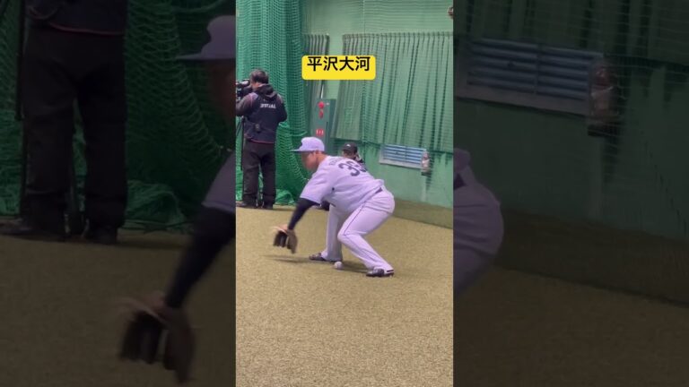 #ライオンズ#千葉ロッテ#平沢大河#宮崎キャンプ #南郷キャンプ #プロ野球