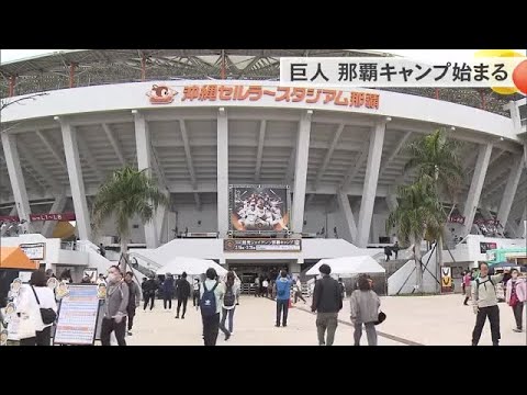 巨人の那覇キャンプ始まる　初日から会場盛り上がり (25/02/15 15:00)