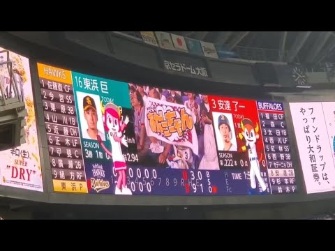 20240627　安達了一  第3打席の登場曲【｢ダイヤモンドスマイル｣／なにわ男子】　6回ｳﾗ　ｵﾘｯｸｽ･ﾊﾞﾌｧﾛｰｽﾞ@京ｾﾗﾄﾞｰﾑ大阪･ﾚﾌﾄ外野下段