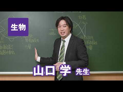 東進　講師紹介   生物   山口学先生