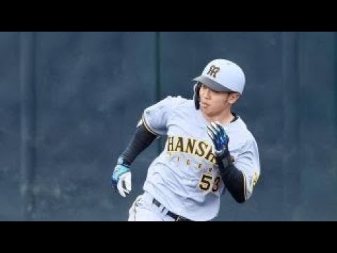 【阪神】島田海吏、植田海、佐藤蓮の３選手が宜野座組に合流 Daily news