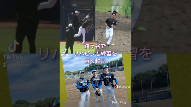 玉井大翔 北海道日本ハムファイターズ2024 プロ野球