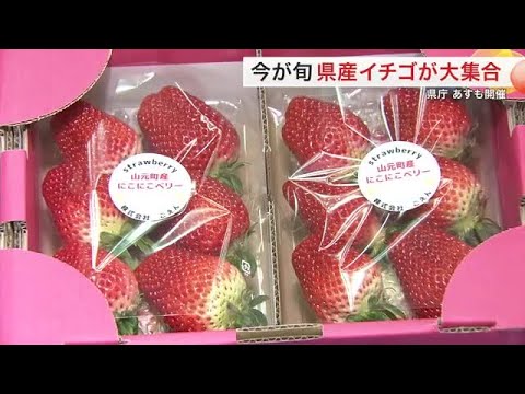 「こんなに種類があってびっくり」今が旬の宮城県産イチゴが大集合！ 県庁でいちごサミット〈宮城〉 (25/02/18 17:40)