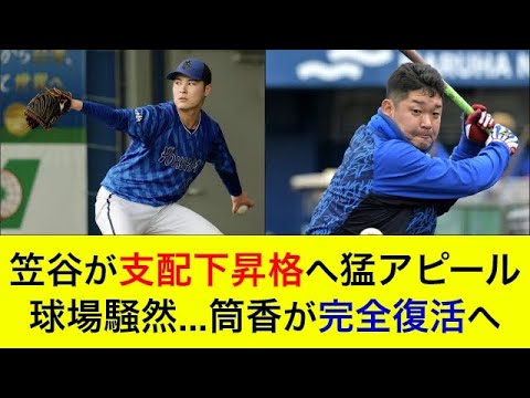 【三浦監督も太鼓判】笠谷が支配下昇格へ猛アピール！球場騒然…筒香が完全復活へ【横浜DeNAベイスターズ】