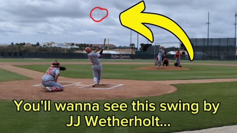 カーディナルズの見込み客は輝きます：JJウェザホルトはMLB獣医の1つをロープします。