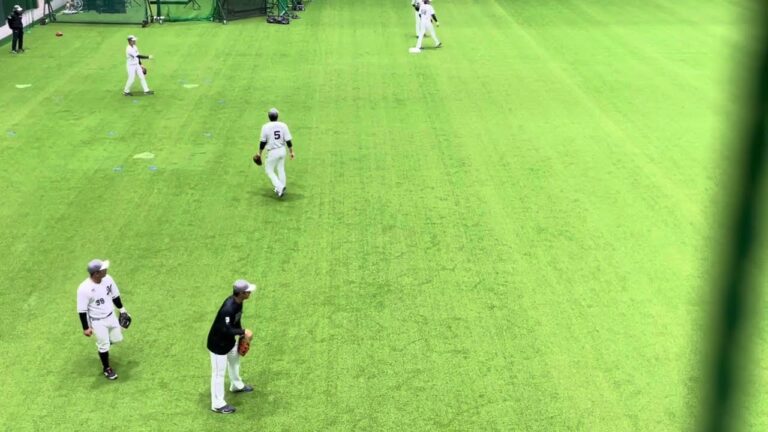 【声に注目】 流れるような足運び 千葉ロッテマリーンズ 安田尚憲 松石信八 大下誠一郎 都城キャンプ