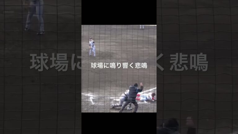 悲鳴！広島・羽月隆太郎　頭部死球で交代…    2軍練習試合　巨人vs広島　#巨人 #読売ジャイアンツ #広島  #広島カープ #プロ野球