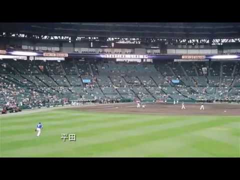 【強肩比べ】中日 平田と藤井のバックホーム比較
