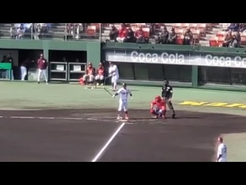 20240301　茂木栄五郎 登場曲【｢輝く月のように｣／Superfly】　2回ｳﾗ　東北楽天ｺﾞｰﾙﾃﾞﾝｲｰｸﾞﾙｽ@倉敷ﾏｽｶｯﾄｽﾀｼﾞｱﾑ･外野ﾚﾌﾄ ｵｰﾌﾟﾝ戦