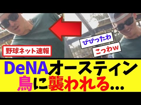 DeNAオースティン、鳥に襲われる...【ネット反応集】