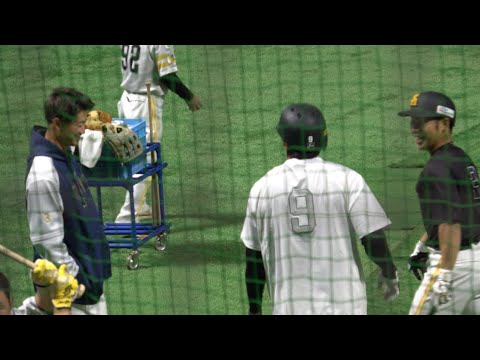 ホークス柳田悠岐・近藤健介・西川遥輝が試合前から、盛り上がりまくり🤣🤣🤣2025.3.4