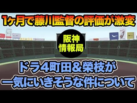 【1ヶ月で藤川監督の評価激変】ドラ4町田&榮枝が一気にいきそうな件について!! 超最新の捕手序列問題を徹底考察【阪神タイガース】