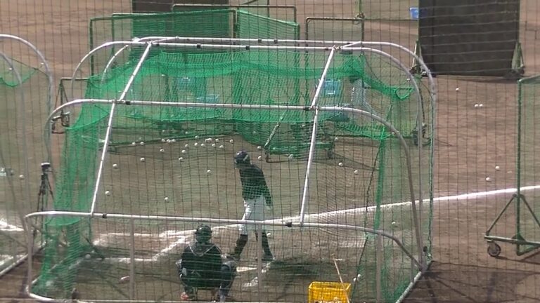 並木秀尊フリーバッティング ネット裏から（ヤクルトスワローズ浦添キャンプ 2025年2月19日）
