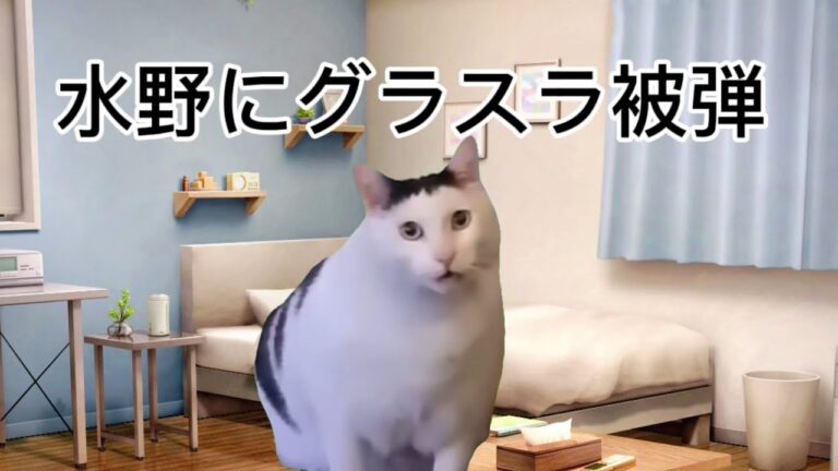 【中日】 猫ミーム グラスラ被弾し逆転されるも鵜飼選手のスリーベースで同点に追いつき一安心する中日ファン #猫ミーム #中日ドラゴンズ #鵜飼航丞 #大島洋平 #岡林勇希