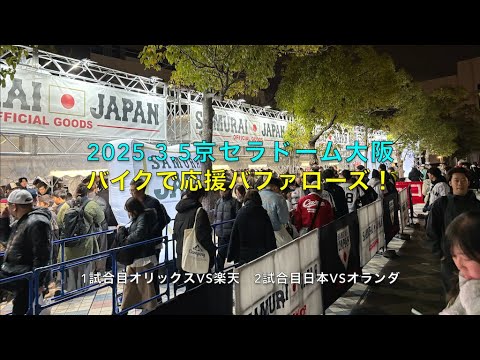 2025.3.5バイクで応援バファローズ！オリックスvs楽天 日本vsオランダ