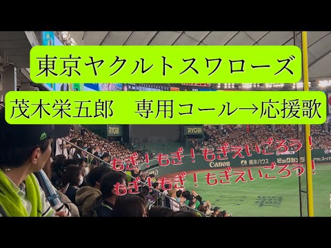東京ヤクルトスワローズ　茂木栄五郎　専用コール→応援歌