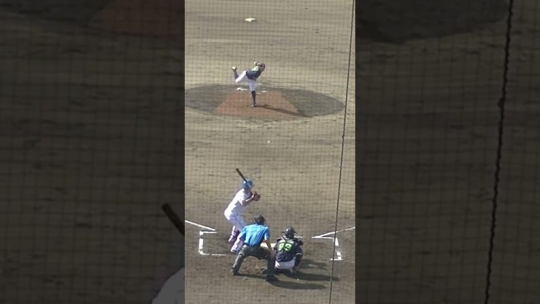 野村祐希が阪口皓亮からヒットを放つ〜2024年9月4日 日本ハムファイターズ対ヤクルトスワローズ