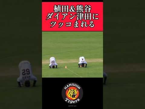 【阪神】植田&熊谷！ダイアン津田からツッコまれる！ #阪神 #阪神タイガース #植田海 #熊谷敬宥  #shorts