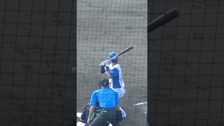 ファイターズ藤田大清を三振にとる阪口皓亮〜2024年9月4日 日本ハムファイターズ対ヤクルトスワローズ