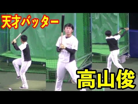 高山俊のバッティング練習【阪神タイガース 2020年プロ野球】
