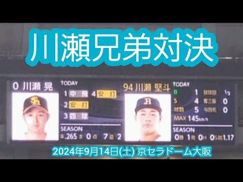 20240914【現地】連夜の開催！川瀬兄弟が対決で盛り上がる！【兄･川瀬晃】【弟･川瀬堅斗】@京ｾﾗﾄﾞｰﾑ大阪･ﾚﾌﾄ外野下段