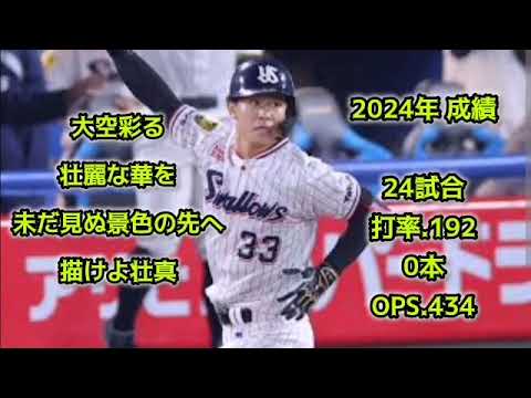 内山壮真【1時間耐久】応援歌 広告なし 作業用 睡眠用 東京ヤクルトスワローズ 1作目 神宮球場