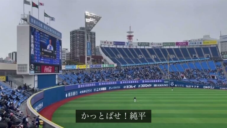 横浜Denaベイスターズ 東妻純平選手　応援歌【梶谷隆幸選手流用】