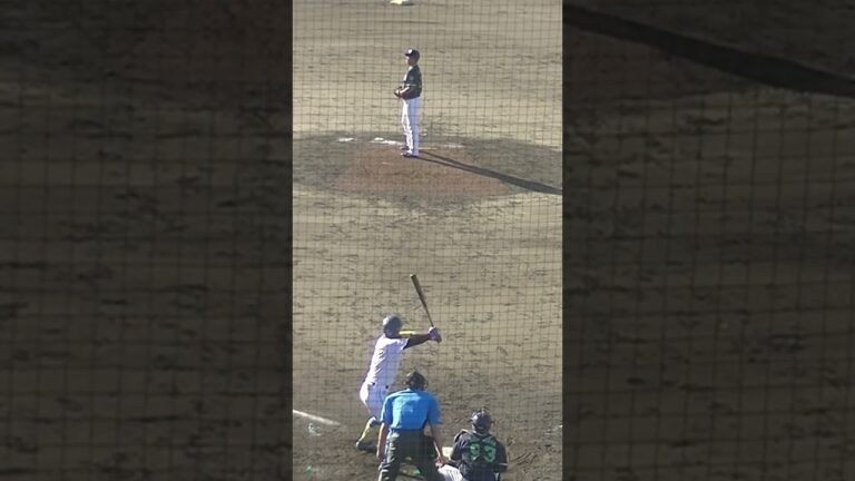 ファイターズルーキー 明瀬諒介を三振にとる宮川哲〜2024年9月4日 日本ハムファイターズ対ヤクルトスワローズ