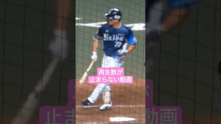 #ディズニー #川越誠司 #埼玉西武ライオンズ #西川愛也 #滝澤夏央 #栗山巧 #中村剛也 #今井達也 #武内夏暉 #外崎修汰 #源田壮亮 #佐藤龍世 #中日ドラゴンズ