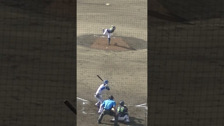 ファイターズ宮崎一樹から見逃し三振 スワローズ阪口皓亮〜2024年9月4日 日本ハムファイターズ対ヤクルトスワローズ