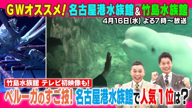 太田がシャチに感動！名古屋港水族館＆竹島水族館2時間ＳＰ！！