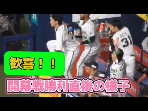 【歓喜！！】開幕戦勝負の瞬間からベンチに戻るまでの様子#オリックスファン #オリックスバファローズ #オリックス #廣岡大志 #紅林弘太郎 #宗佑磨 #中川圭太 #太田椋 #西川龍馬