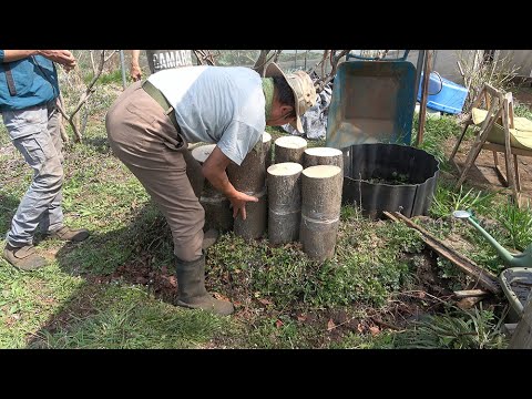 菜園だより250327平茸植え付け