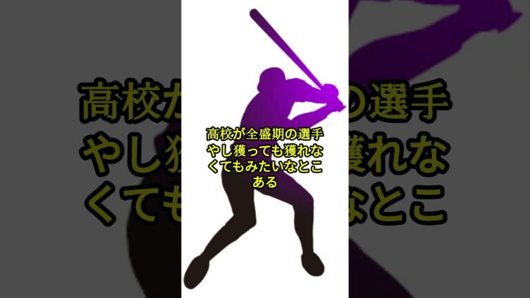 【悲報】安樂智大28さん、2025年もNPB復帰が許されない。
