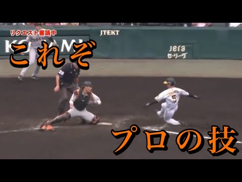 【巨人】丸佳浩-坂本勇人-大城卓三 見事な中継プレーを魅せる