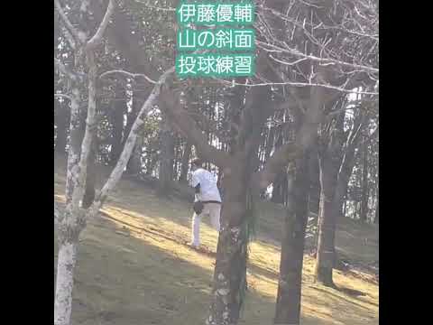 20250222　#伊藤優輔　山の斜面を使った投球練習　#shorts@宮崎市生目の杜運動公園ｱｲﾋﾞｰｽﾀｼﾞｱﾑ･外野ﾚﾌﾄ ｵｰﾌﾟﾝ戦