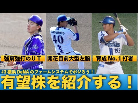 【番外編】横浜DeNAベイスターズのプロスペクトランキングを発表してみた【＃３】
